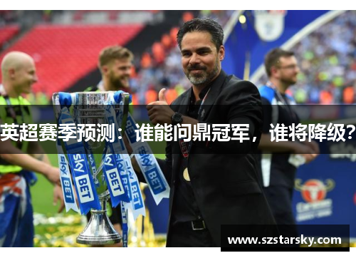 英超赛季预测：谁能问鼎冠军，谁将降级？